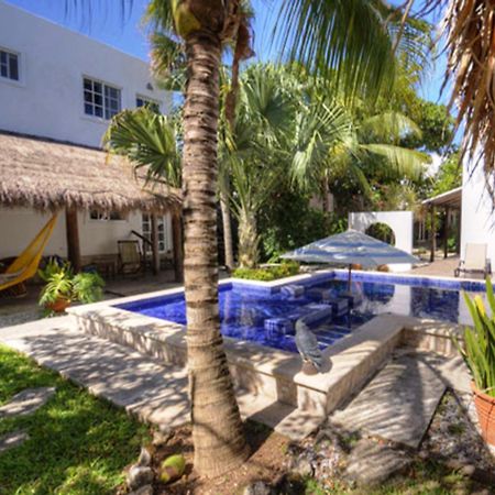 Villa Escondida Guest House Cozumel Downtown Bagian luar foto