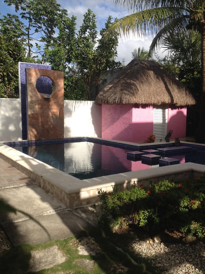 Villa Escondida Guest House Cozumel Downtown Bagian luar foto